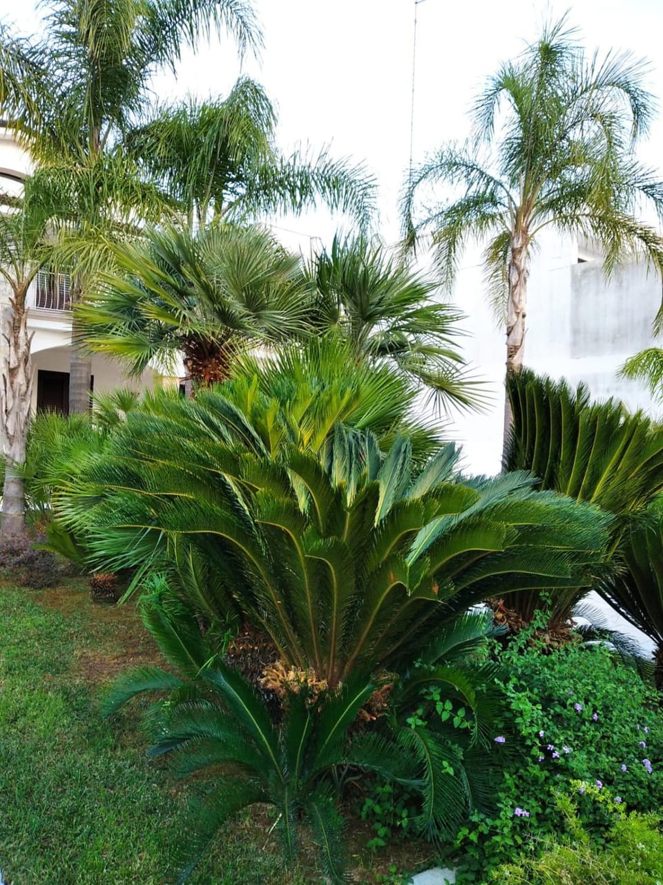 Garden, Garden view