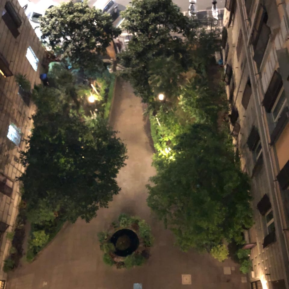 View (from property/room)