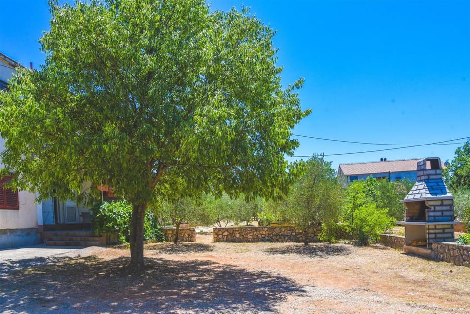 Natural landscape, Garden view, Inner courtyard view