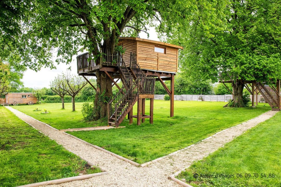 Balcony/Terrace, Garden view