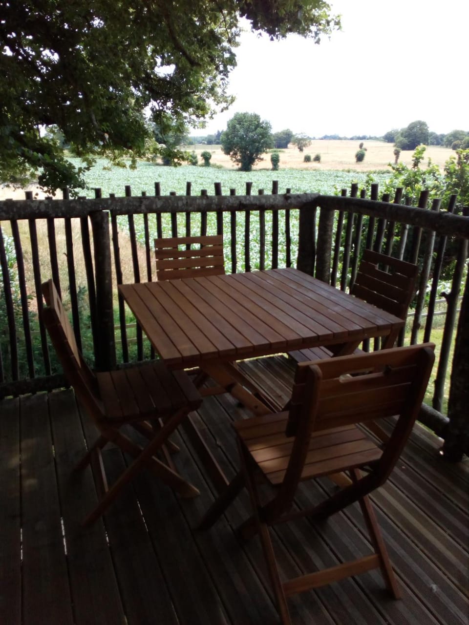 Balcony/Terrace, Garden view