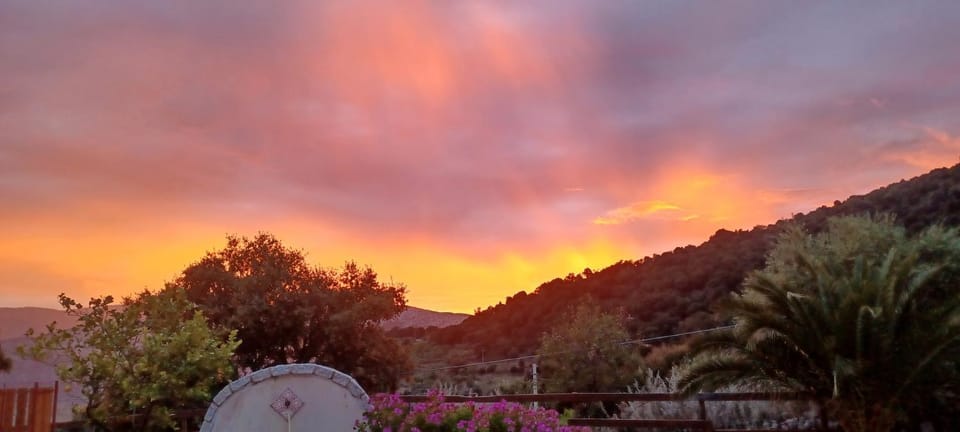 Casa Lucia Campagna Relax Country House in Sardinia