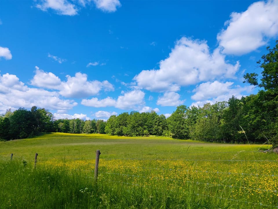 Natural landscape