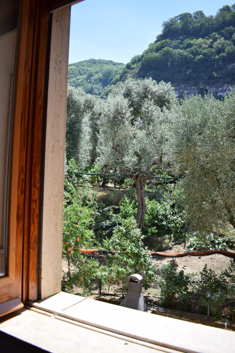 Garden view, Mountain view