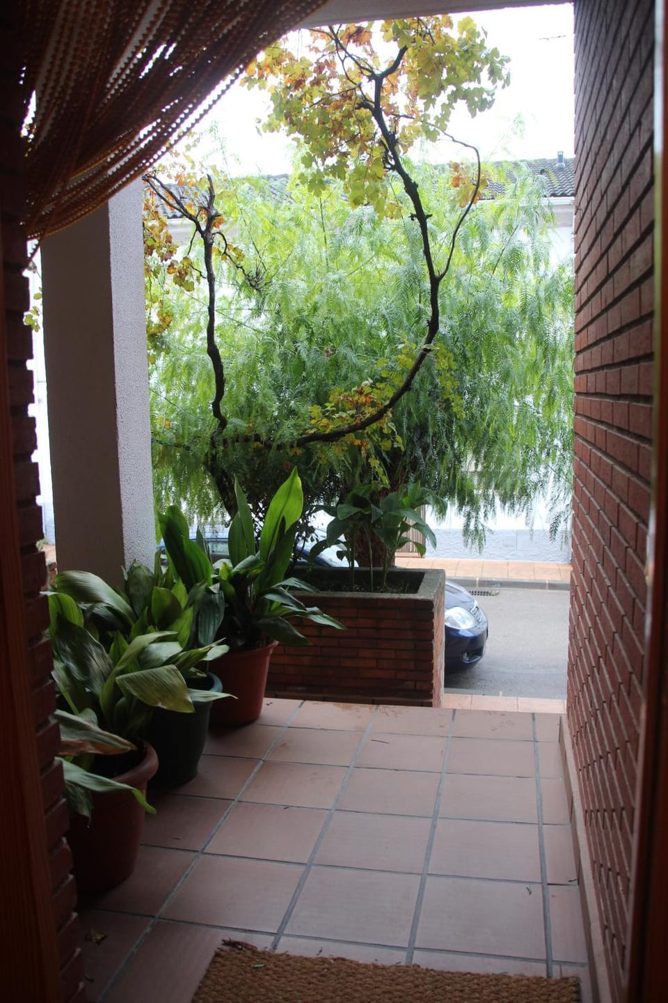 Garden view