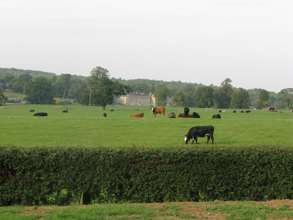 View (from property/room), Landmark view