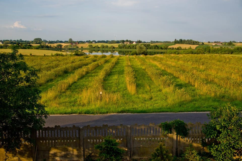 Miedzywody Vacation rental in Masovian Voivodeship