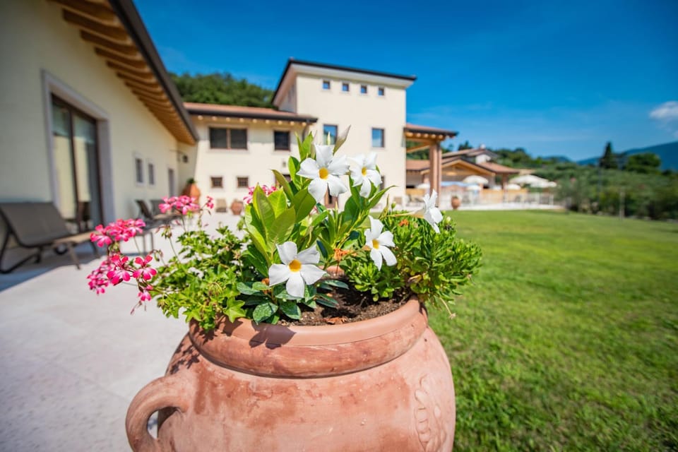 Property building, Spring, Garden