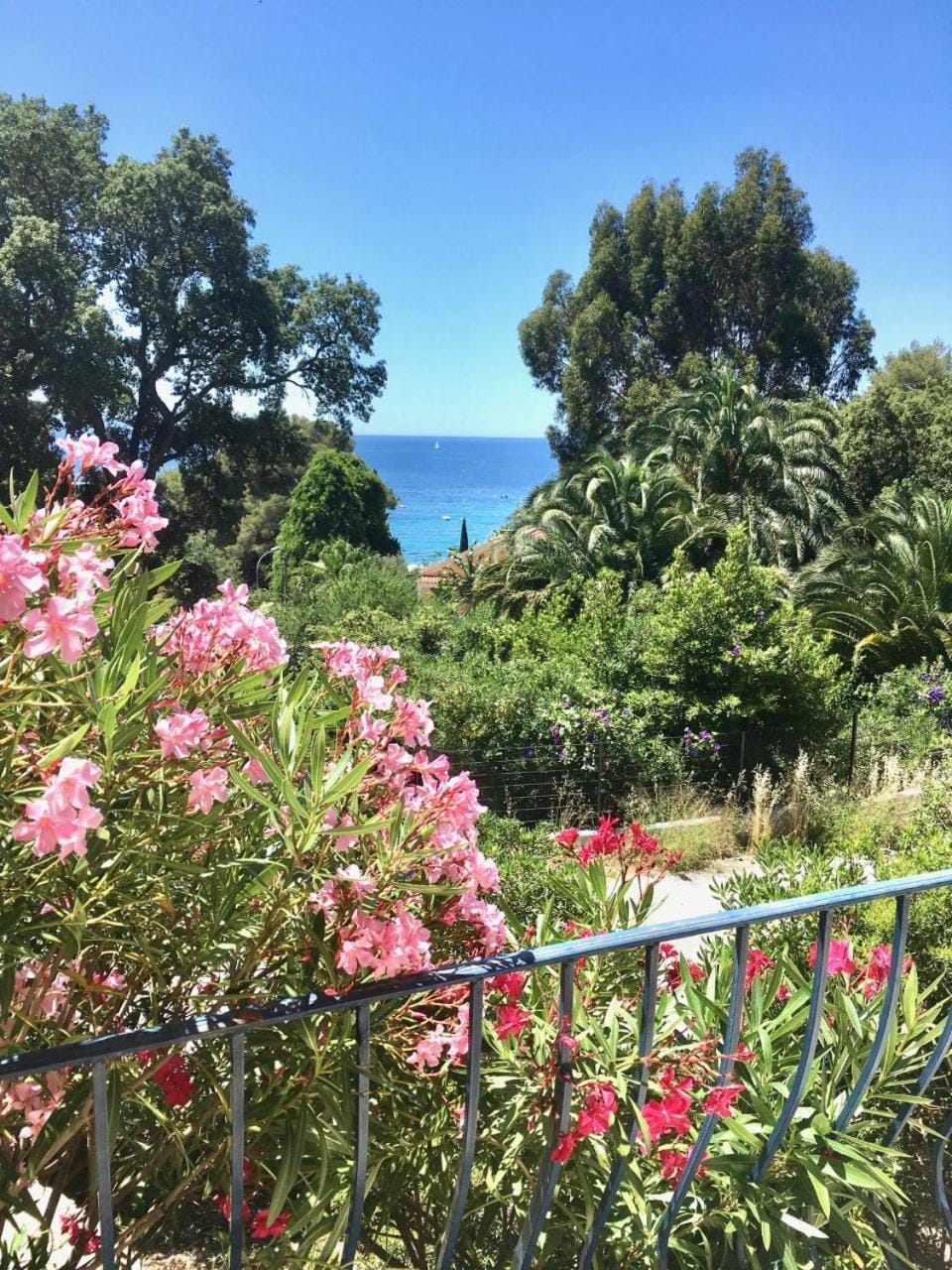 Villa Olivea Villa in Rayol-Canadel-sur-Mer