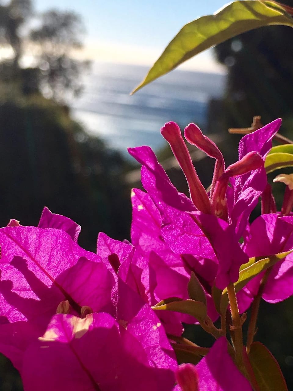 Day, Winter, Beach, On site