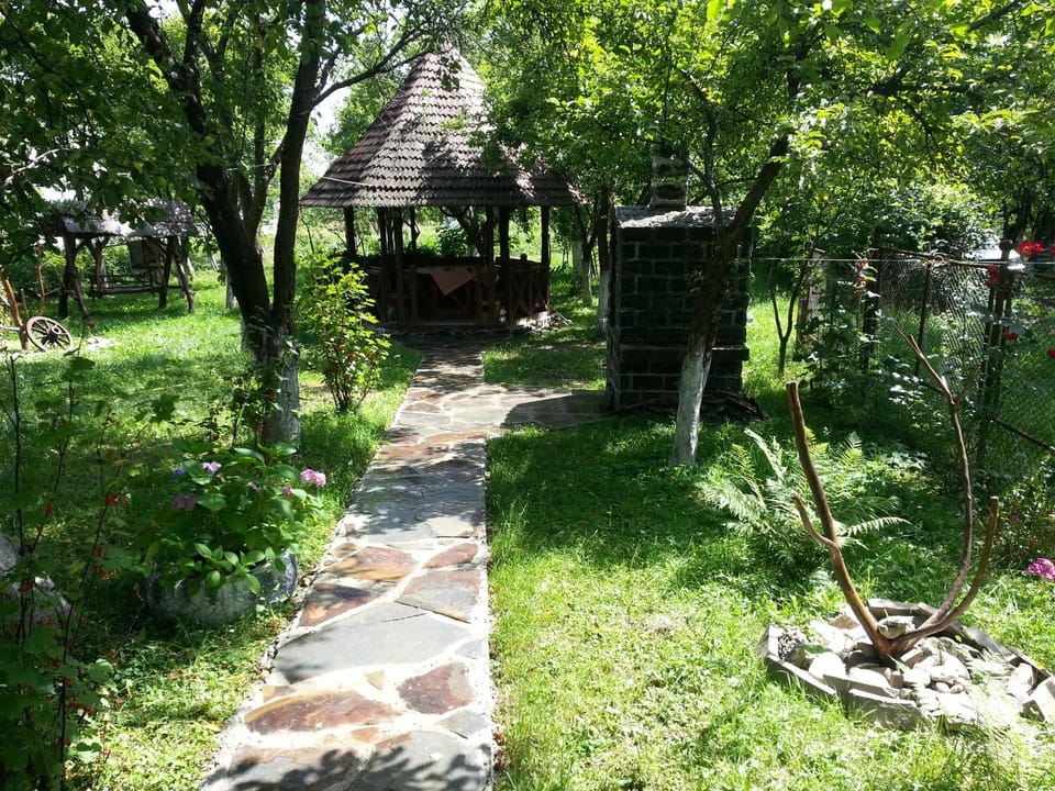 Natural landscape, Garden, Garden view