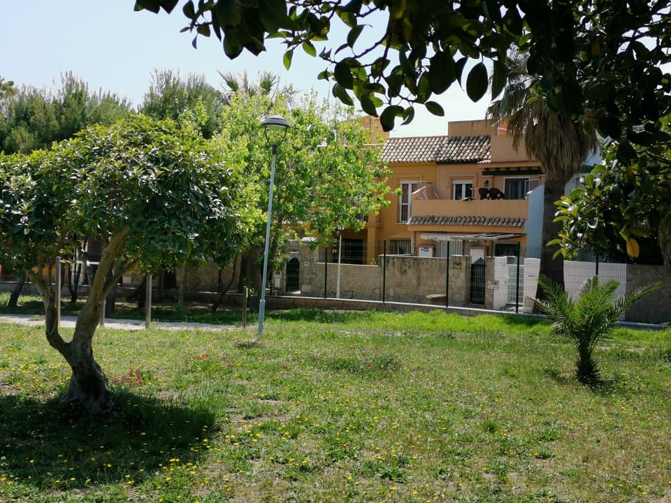 Property building, Natural landscape, Garden, Garden view