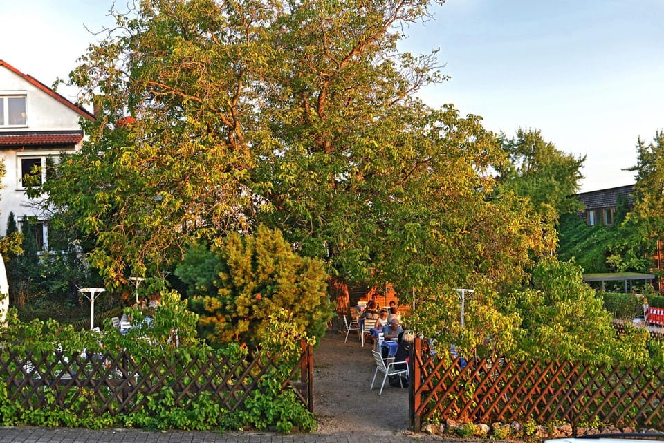 Restaurant/places to eat, Day, group of guests