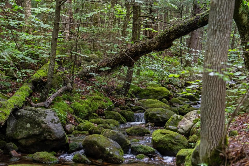 Natural landscape