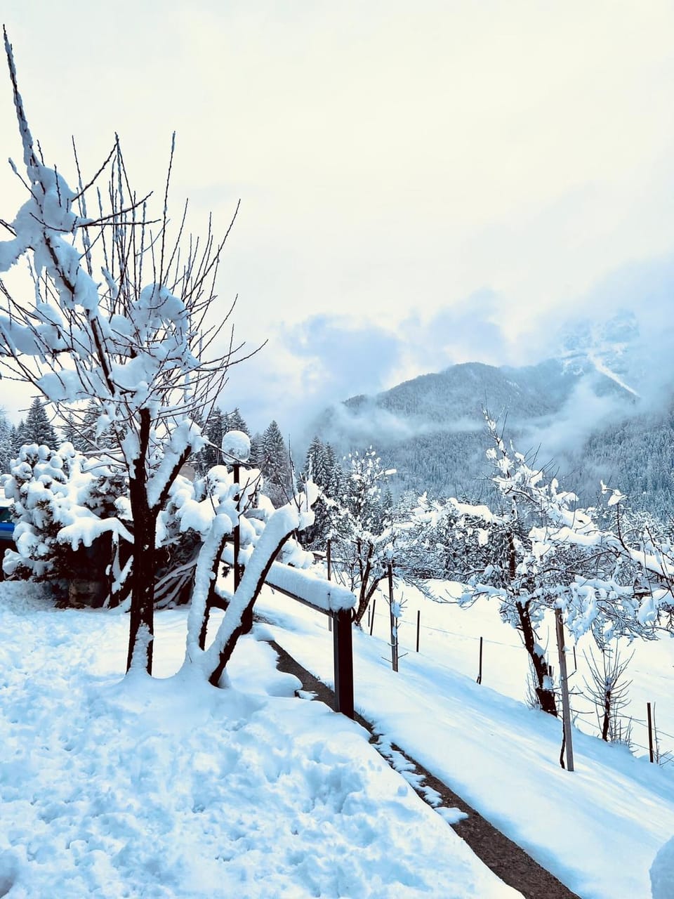 Natural landscape, Mountain view