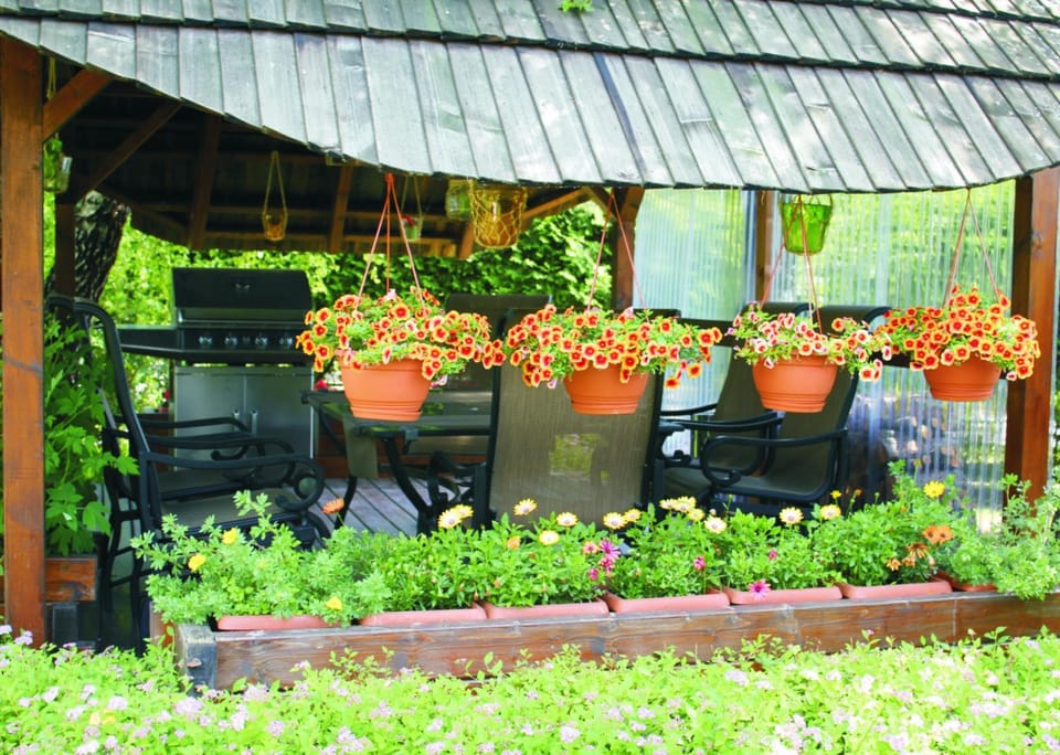 BBQ facilities, Garden