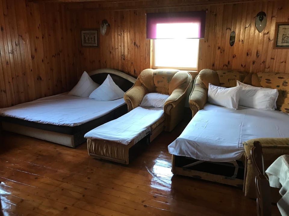 Гостевой дом Дина Bed and Breakfast in Odessa