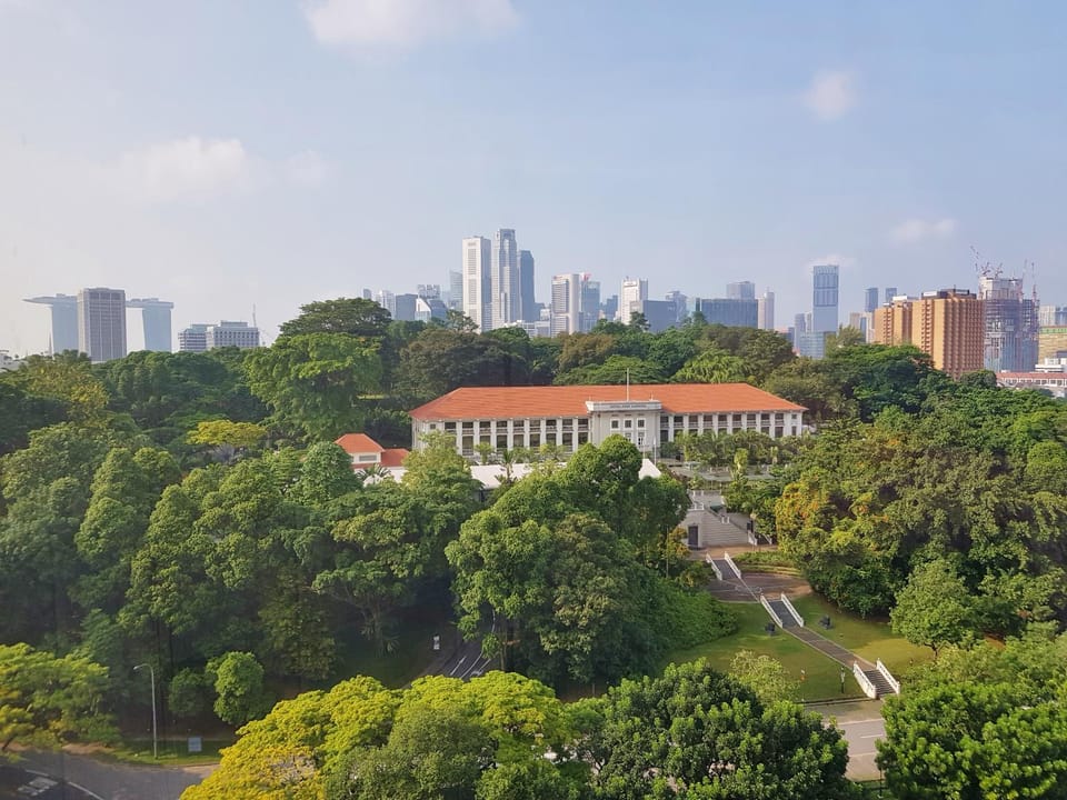 Garden view
