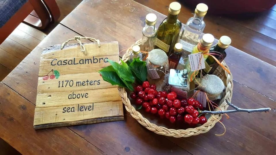 CasaLambra Pedoulas Exclusive Accomodation Troodos Mountains Villa in Nicosia District