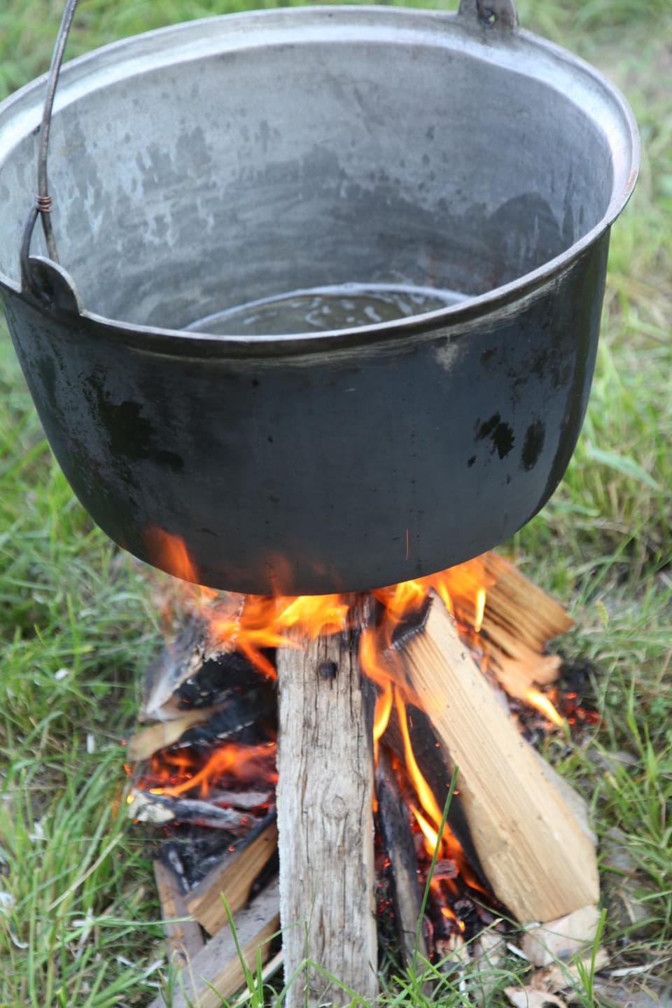 BBQ facilities, Garden