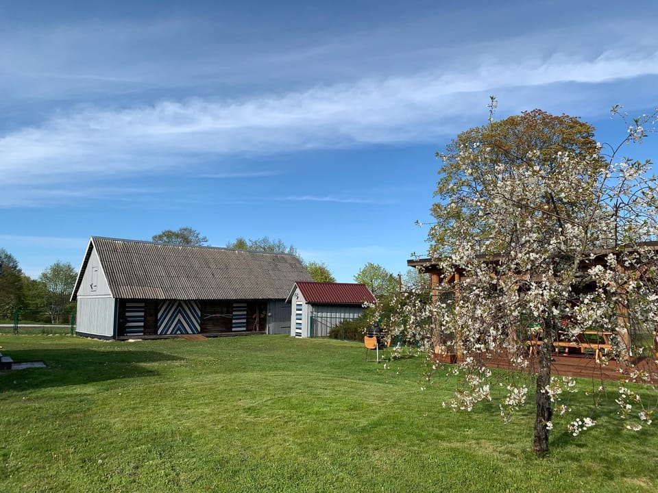 Spring, Day, Garden, Garden view