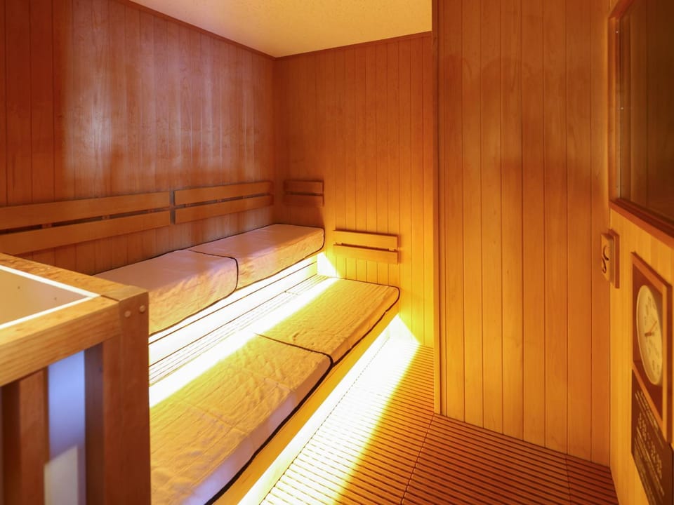 Sauna, Public Bath