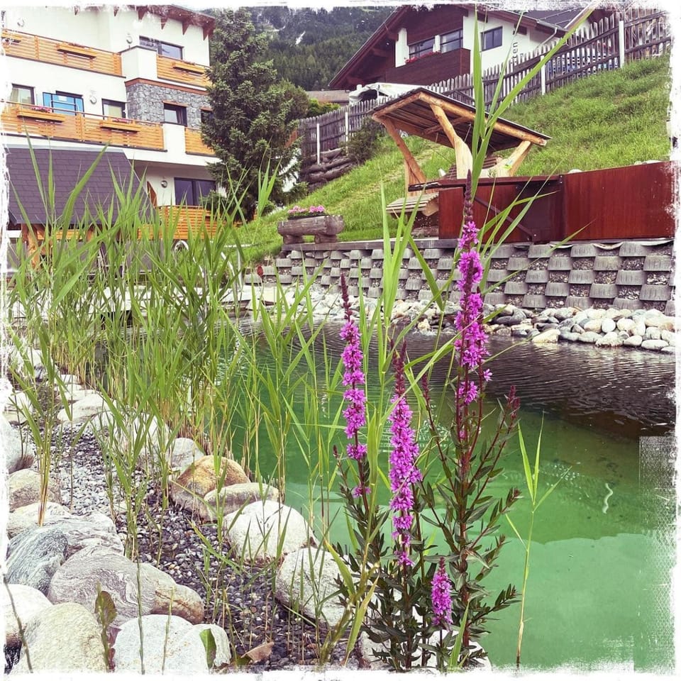 Garden, Swimming pool