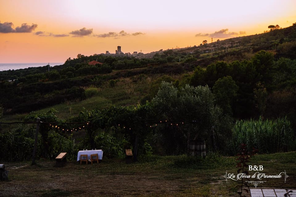 Natural landscape, Sunset