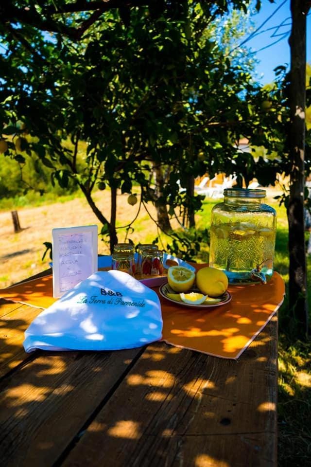 Garden, Continental breakfast
