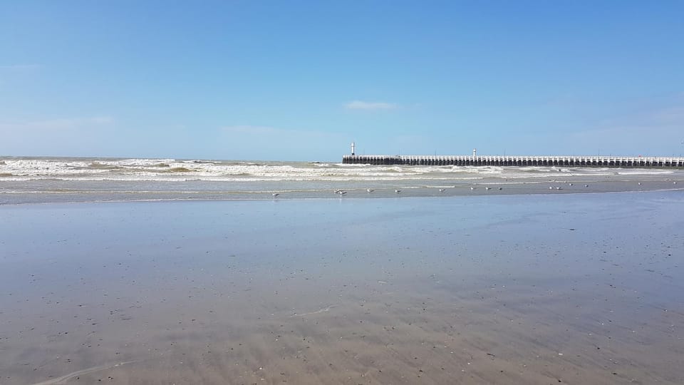 Natural landscape, Activities, Beach