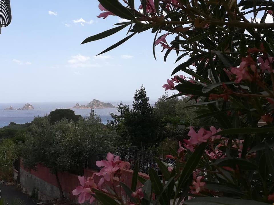 Nearby landmark, Natural landscape