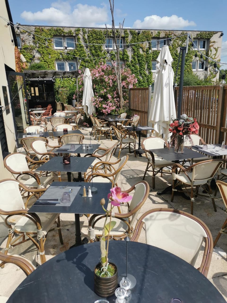 Patio, Restaurant/places to eat