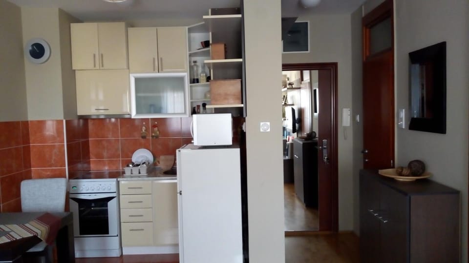 Naissa Apartment Apartment in Serbia