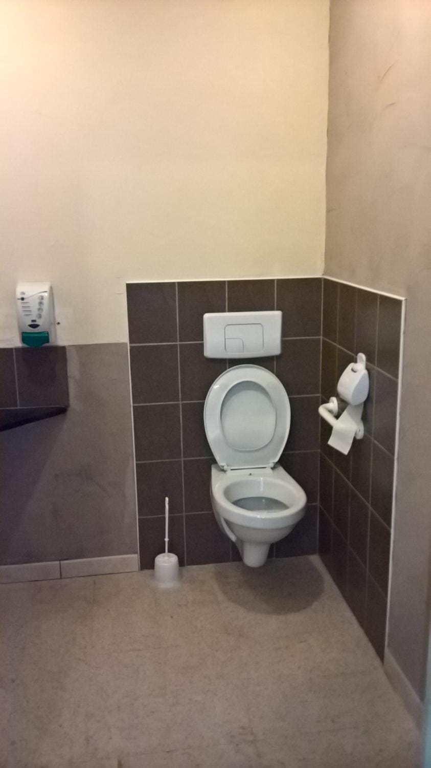 Toilet