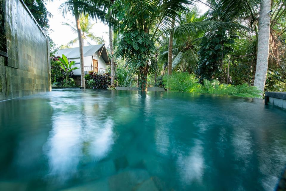 Natural landscape, Swimming pool