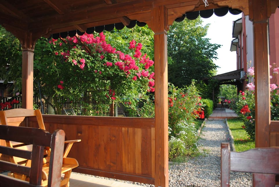 Day, Summer, Garden