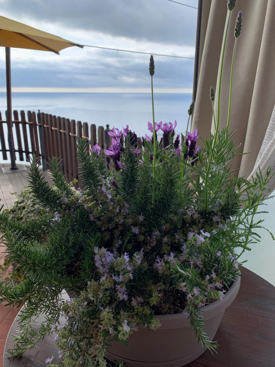 Patio, Restaurant/places to eat, Garden view, Sea view
