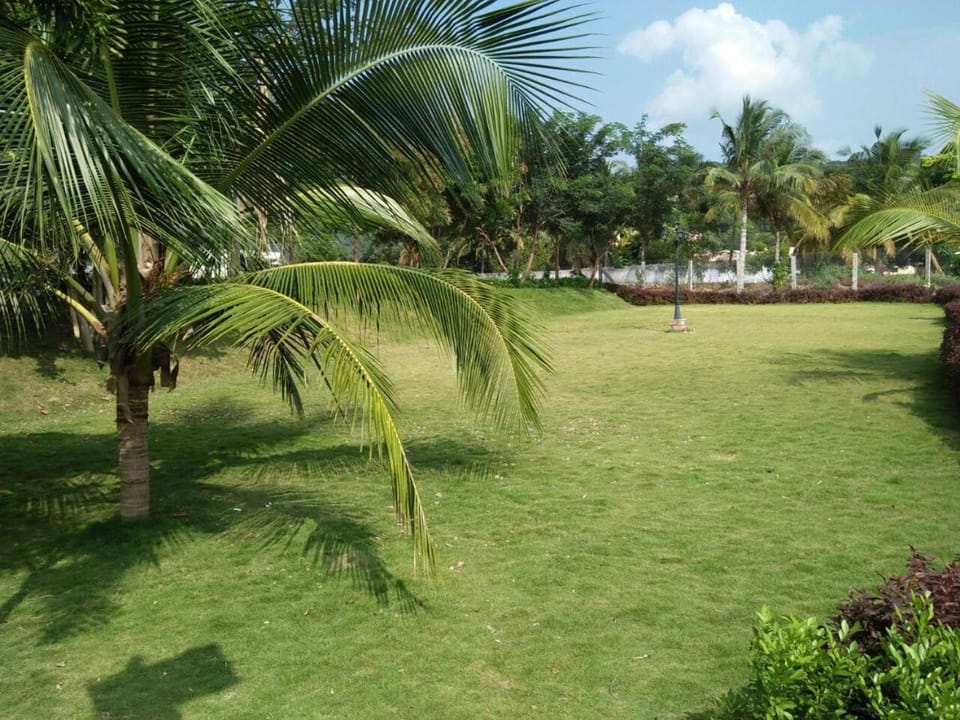 Natural landscape