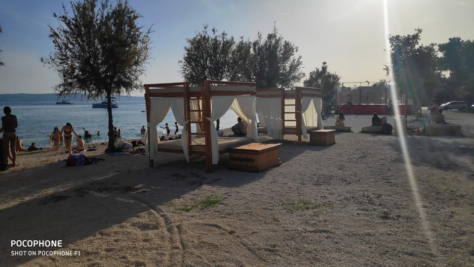 Beach, Canoeing, Diving, Pets
