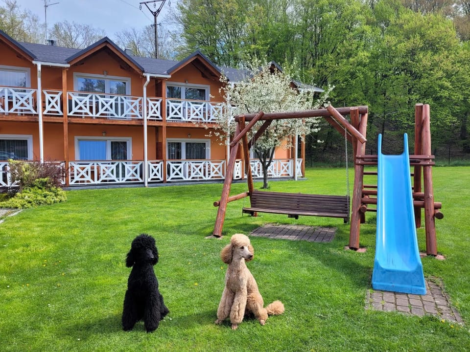 Natural landscape, Children play ground, Garden, Pets, Garden view