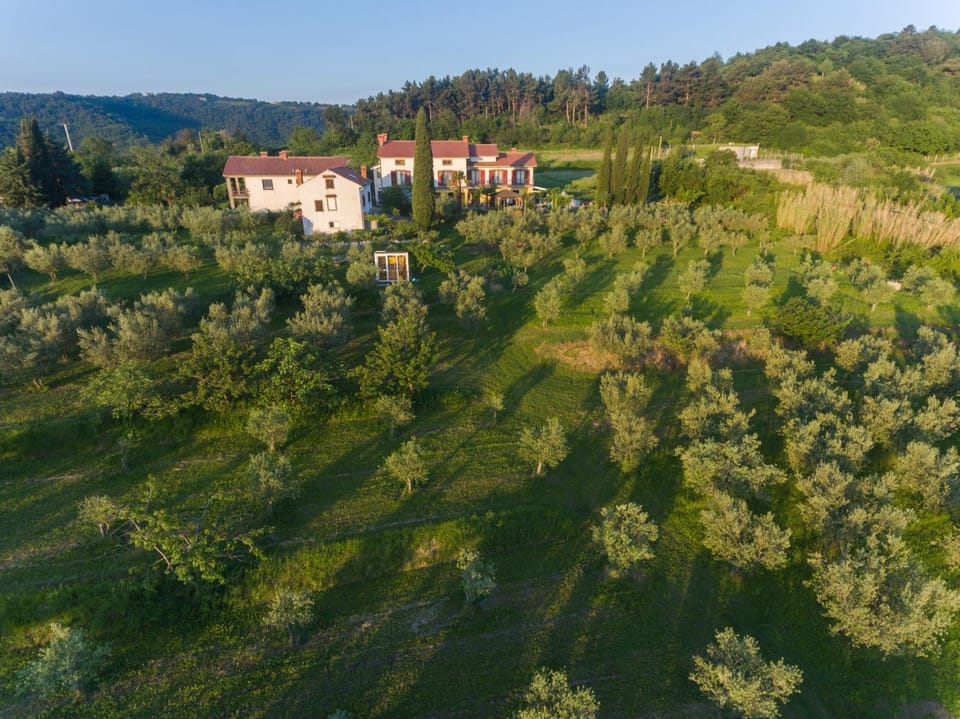 Natural landscape, Bird's eye view