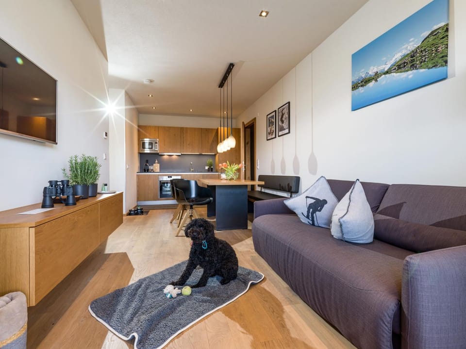 Living room, Pets, kitchen