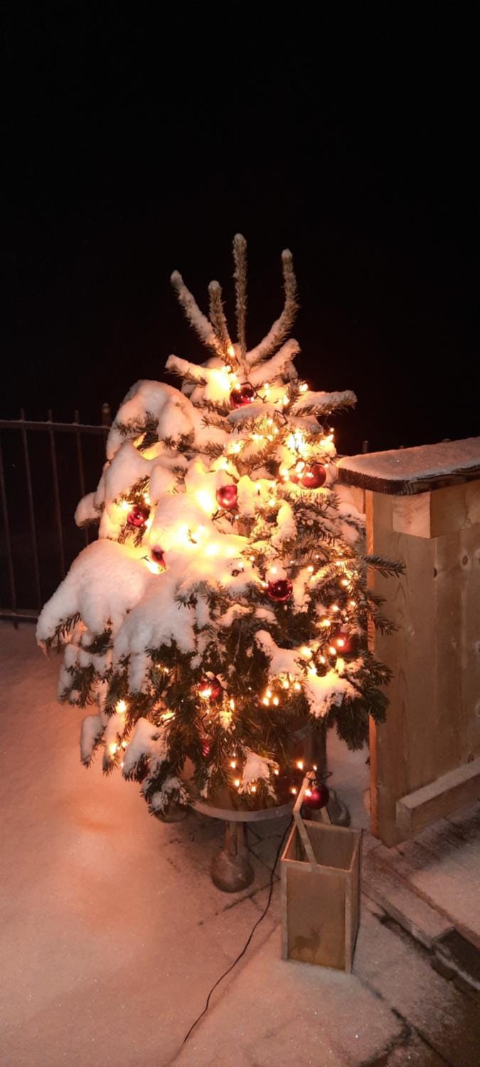 Bergpension-Ebental Bed and Breakfast in Salzburgerland