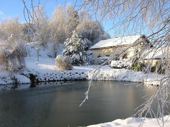 Natural landscape, Winter, Lake view