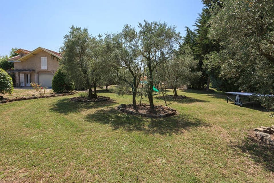 Garden, Garden view, Area and facilities