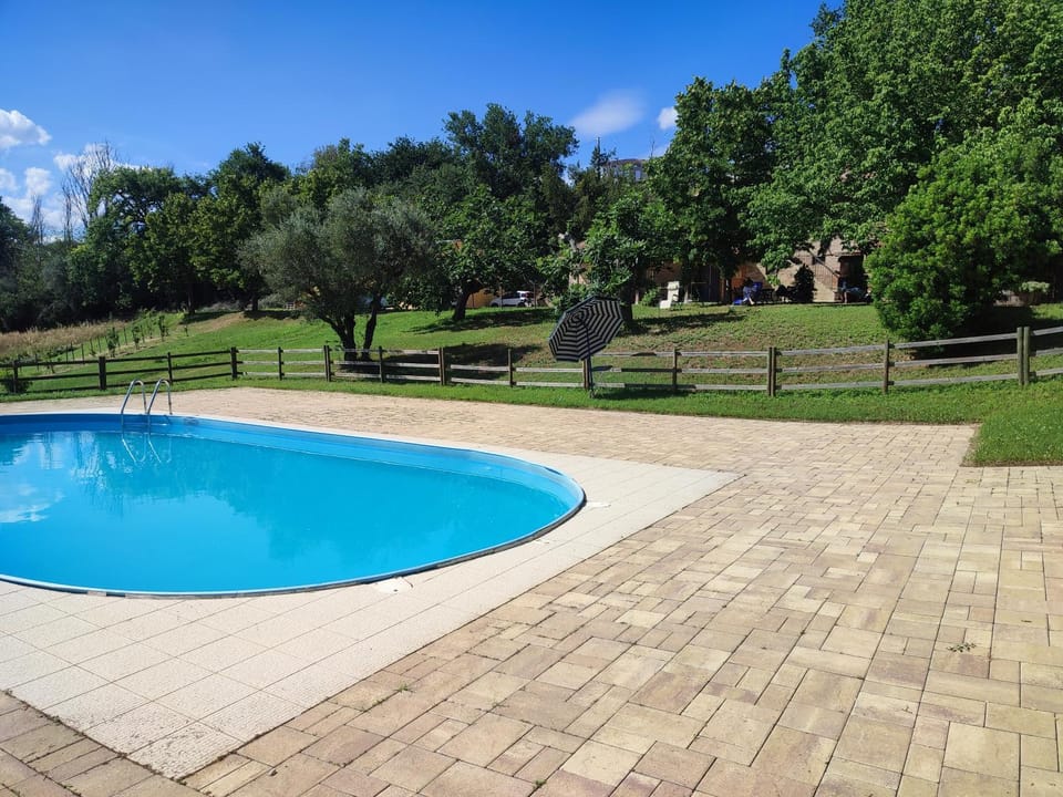 Garden, Swimming pool