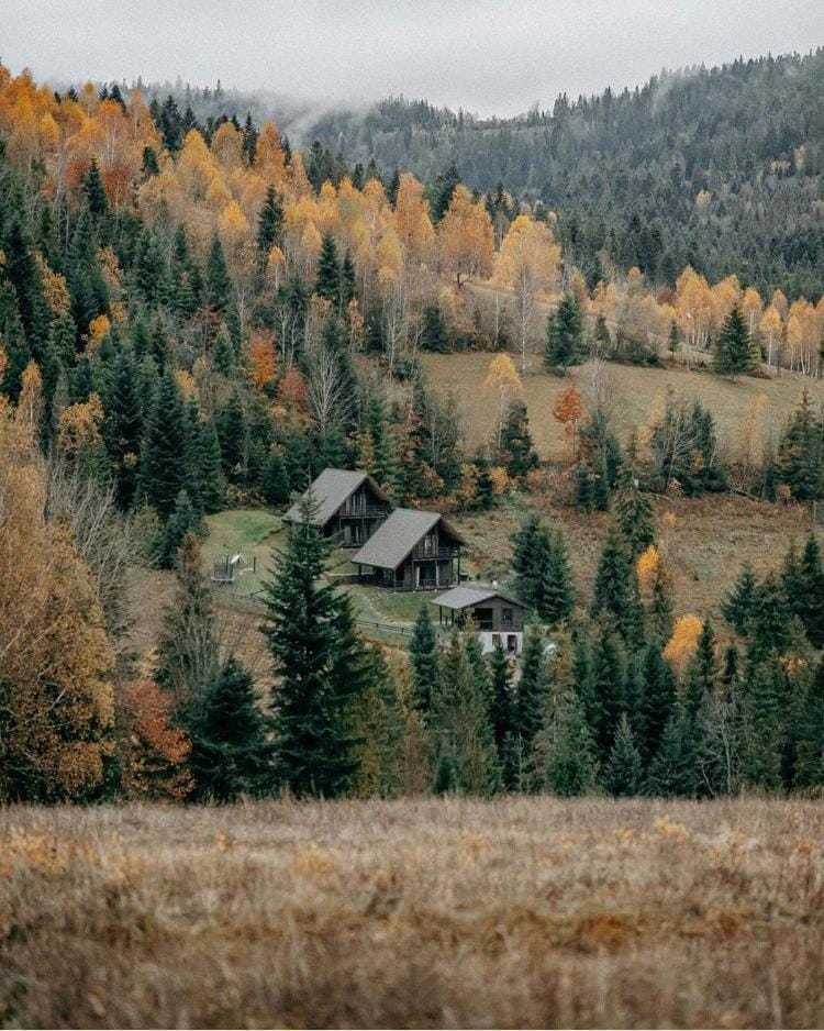 Natural landscape