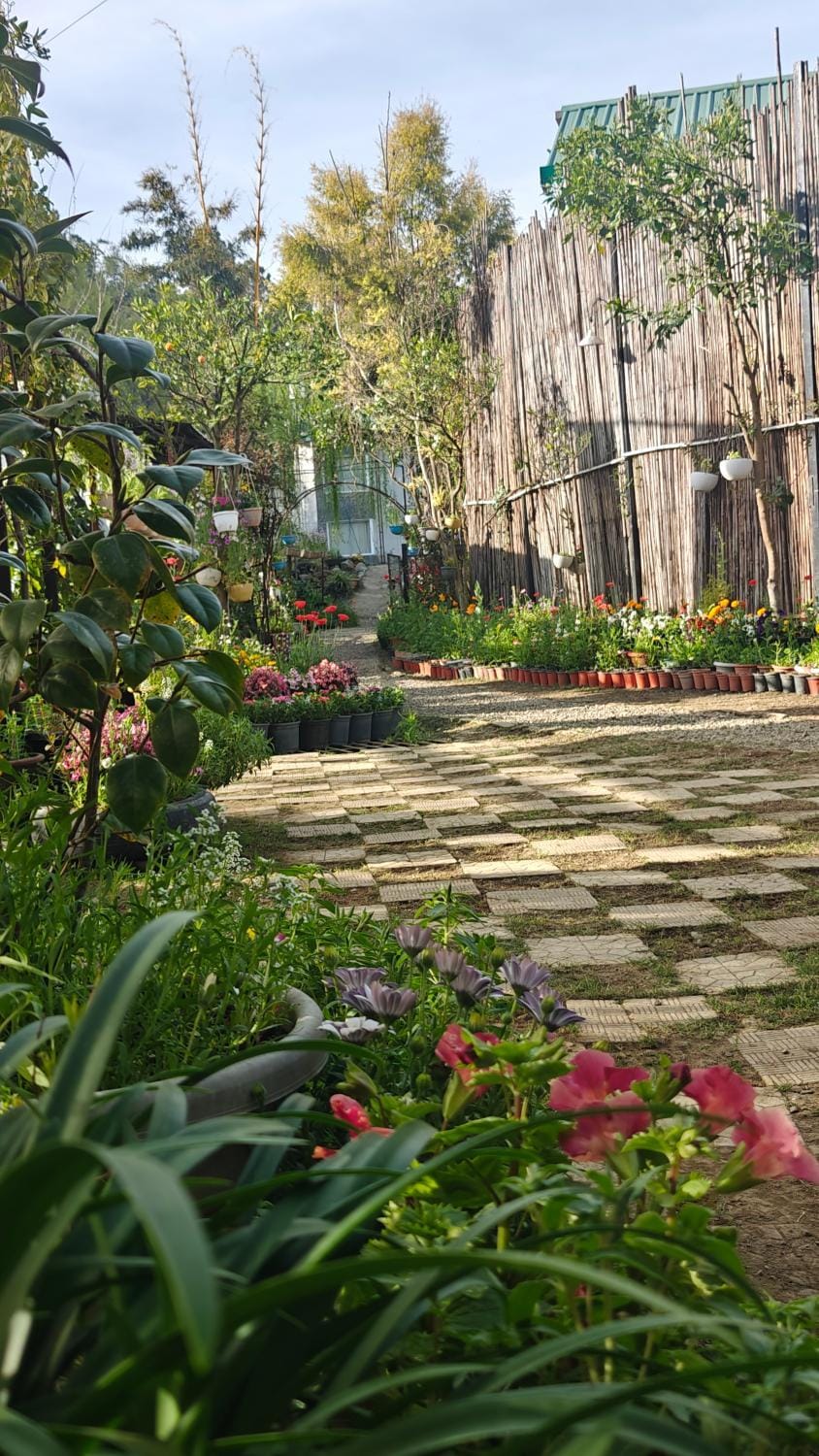Cottages At Village Bhimtal-Naukuchiatal Resort in Uttarakhand