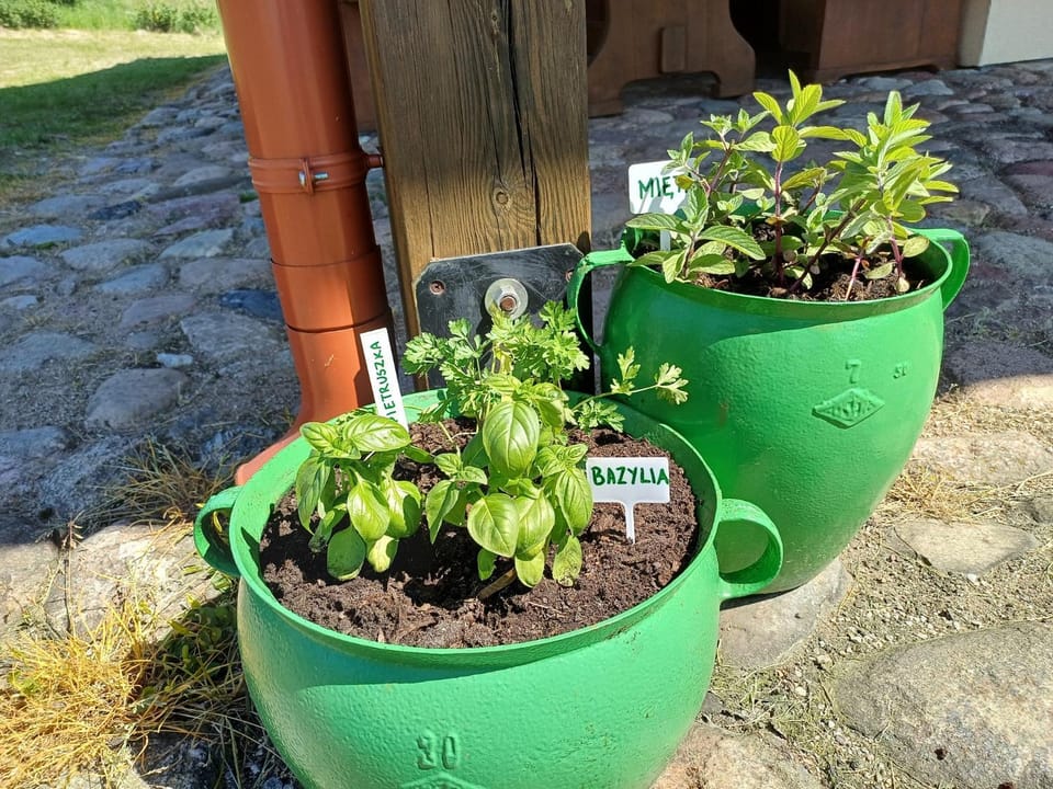 Szwałk Borecka - z sauną i balią, nad jeziorem House in Lithuania