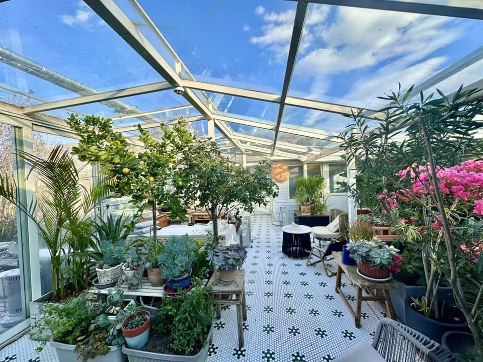 Day, Garden, Garden view